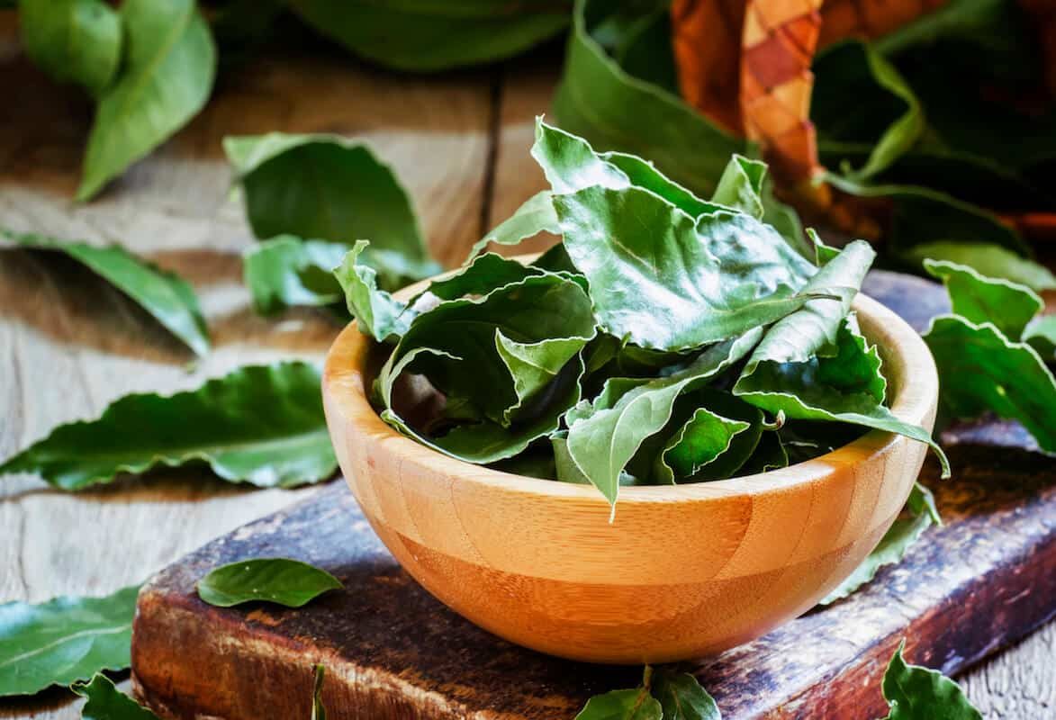 Bay Leaf Substitute
