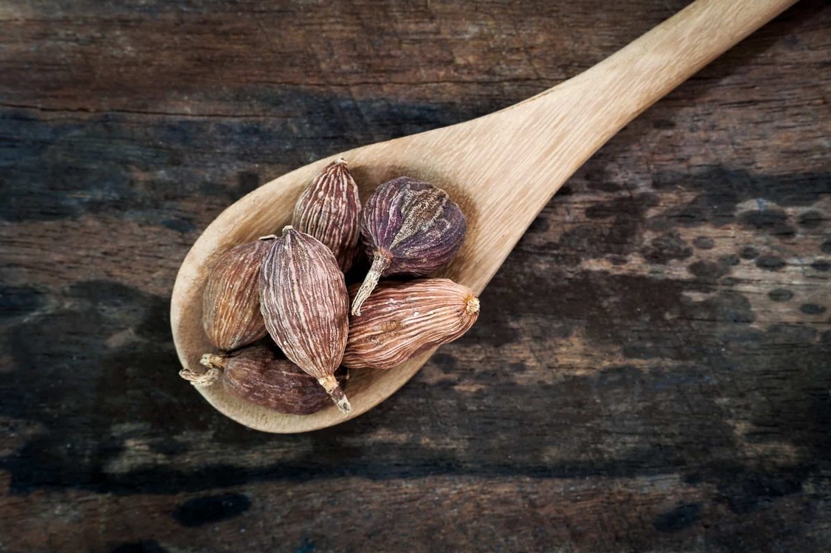 Black cardamom substitute