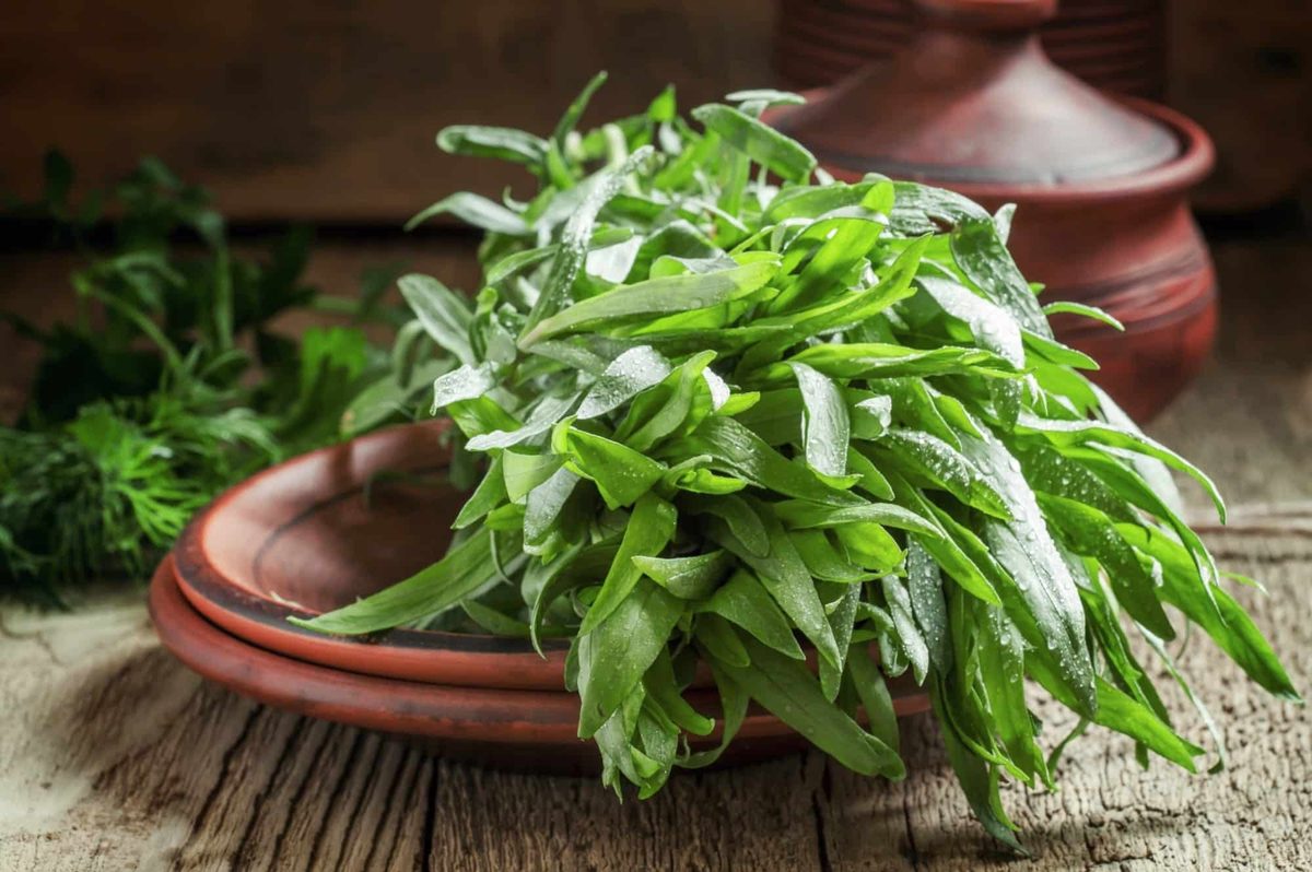 can you freeze tarragon