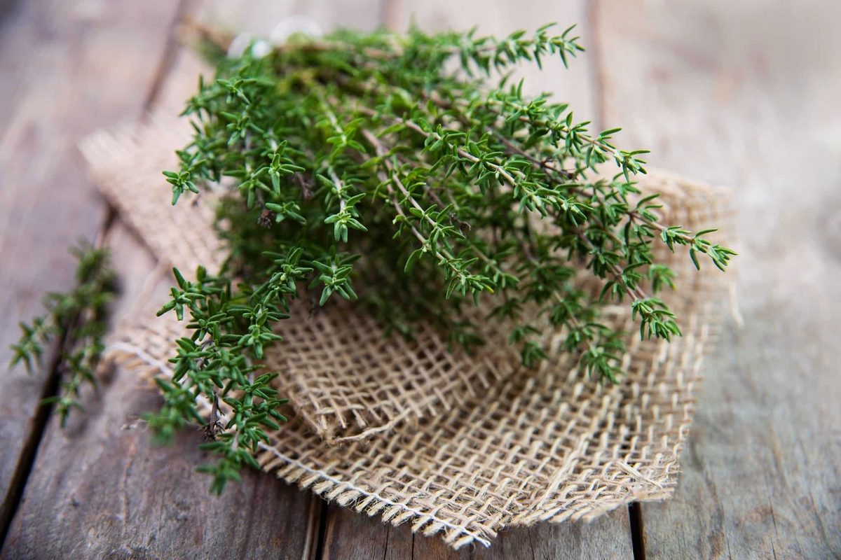 can you freeze thyme
