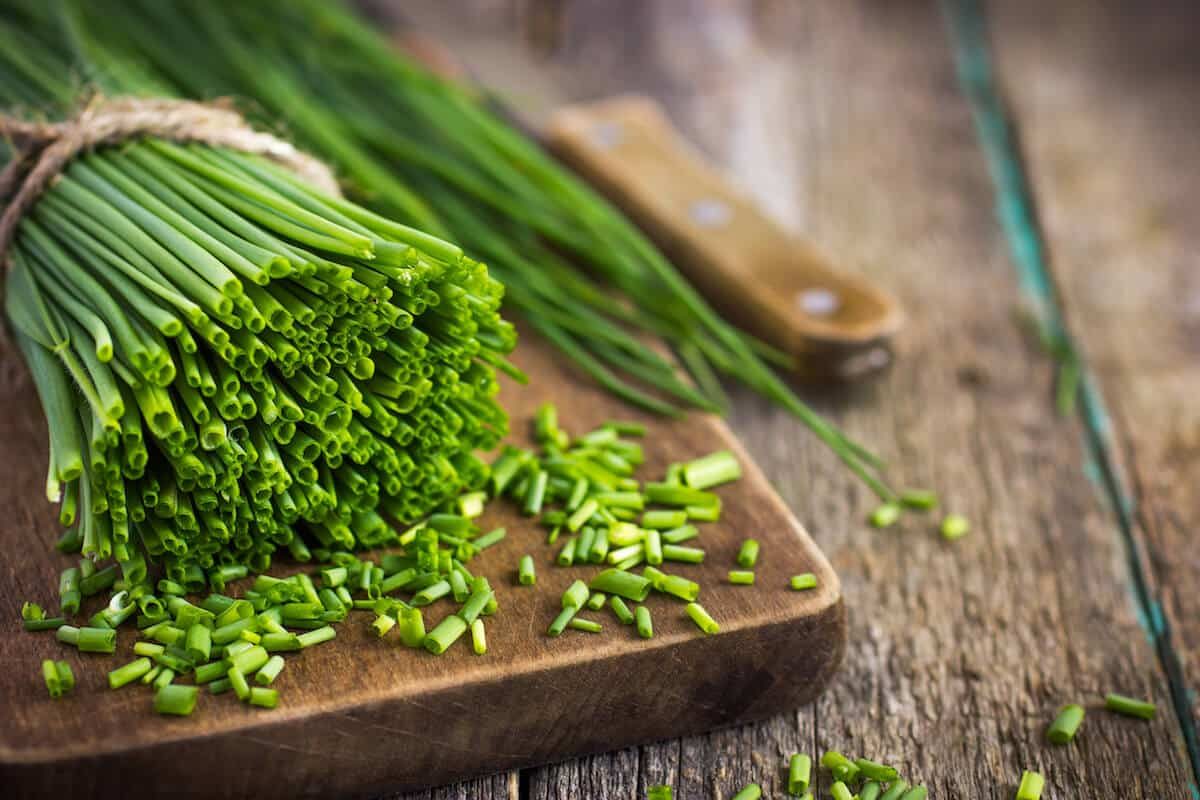 Chives Substitute