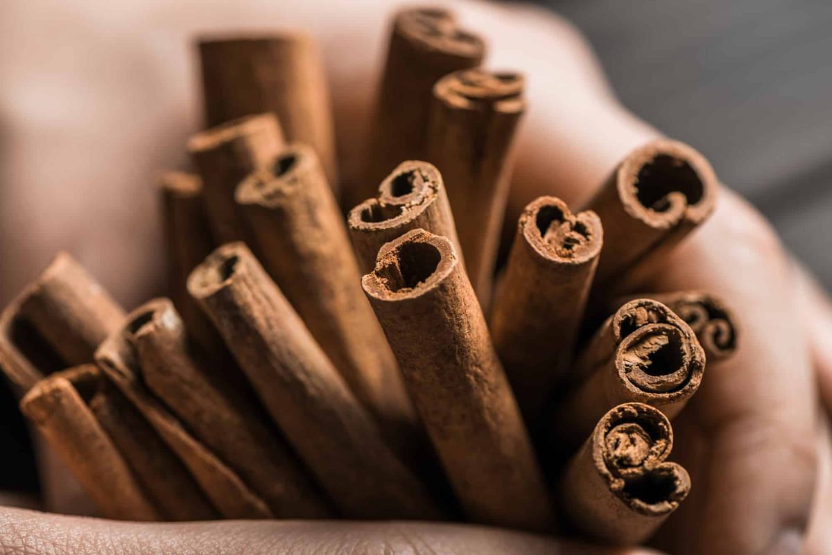 Cinnamon vs Nutmeg