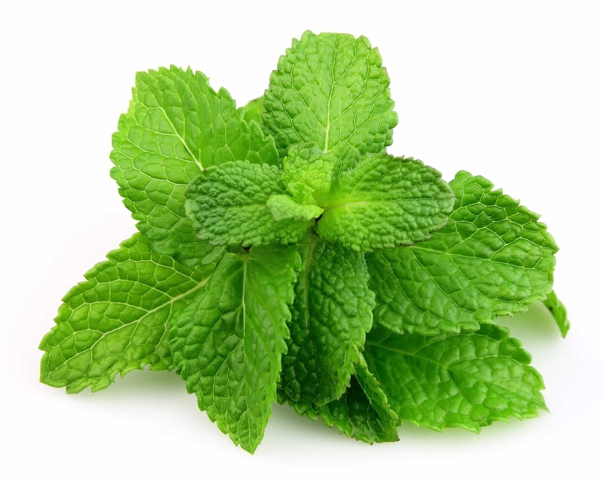 Cooking with orange mint