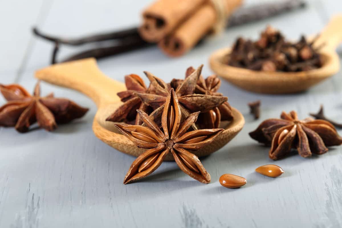 cooking with star anise