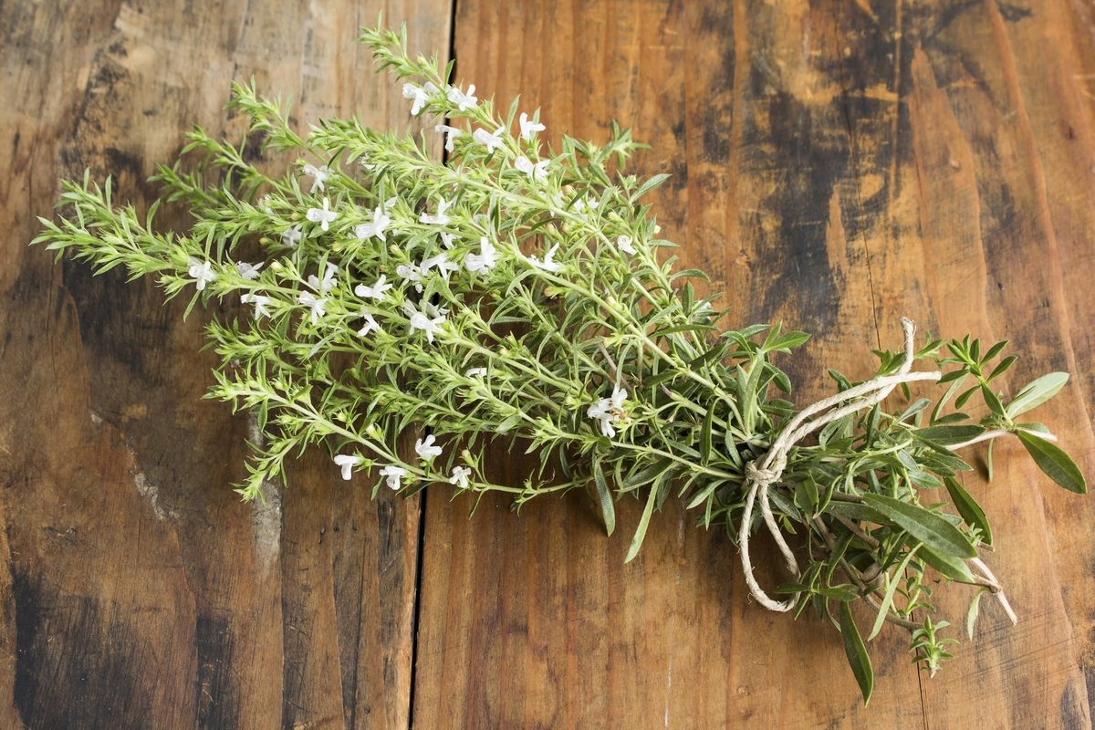 Cooking with Summer Savory