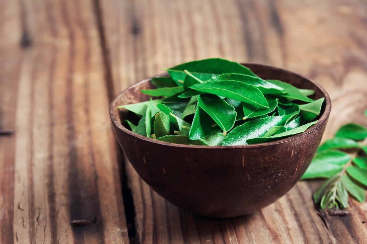 Curry leaves uses