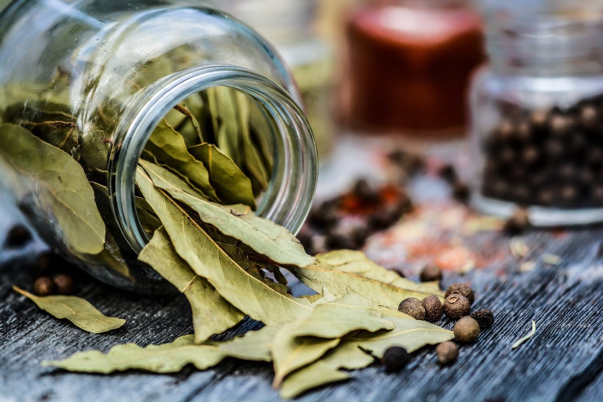 curry leaves vs bay leaves