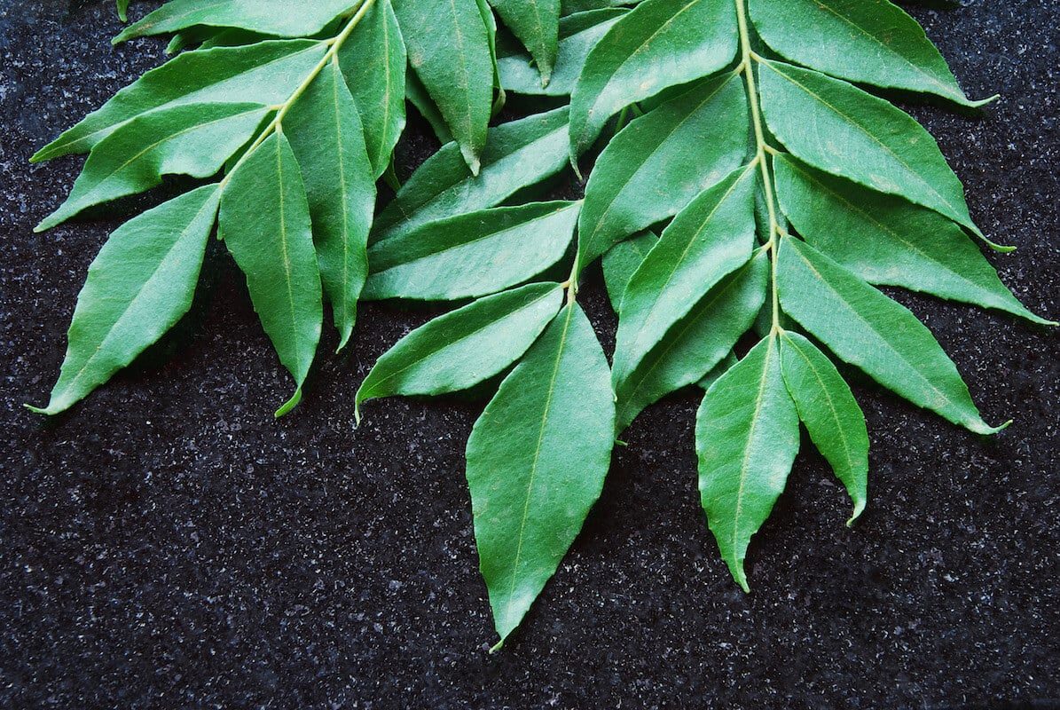 Curry Leaves