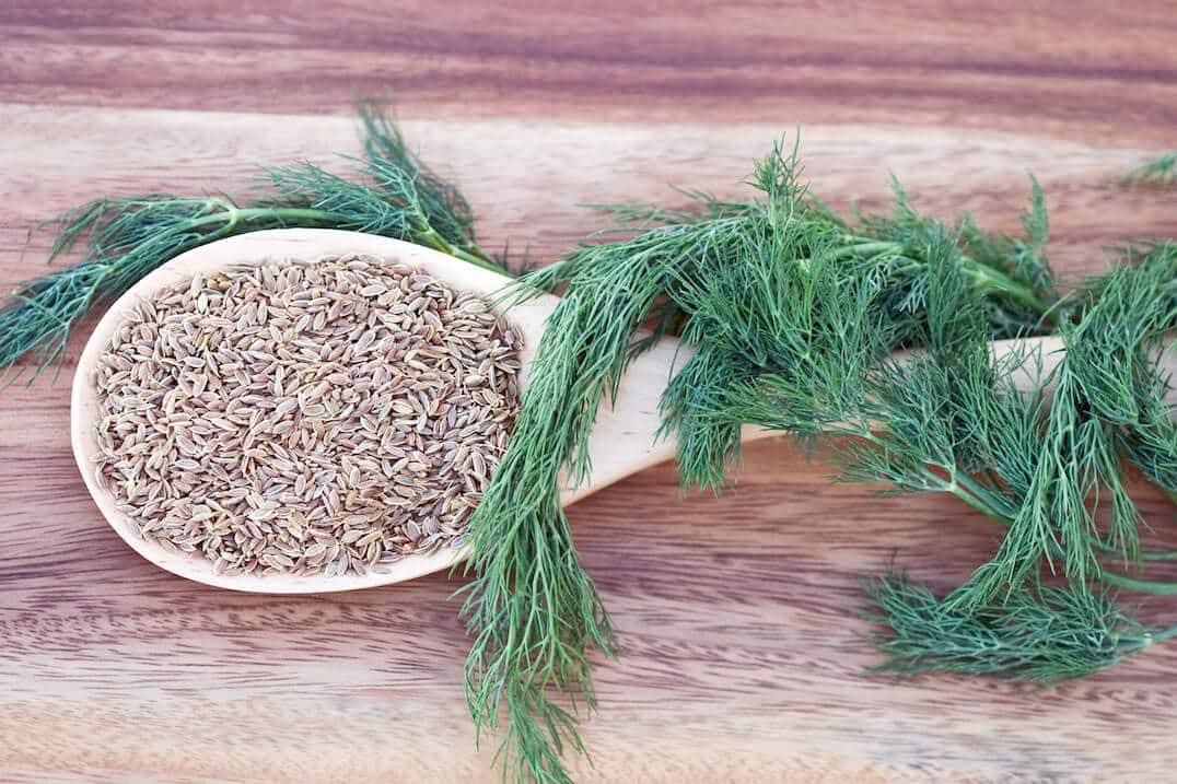 Dill Seed vs Dill Weed