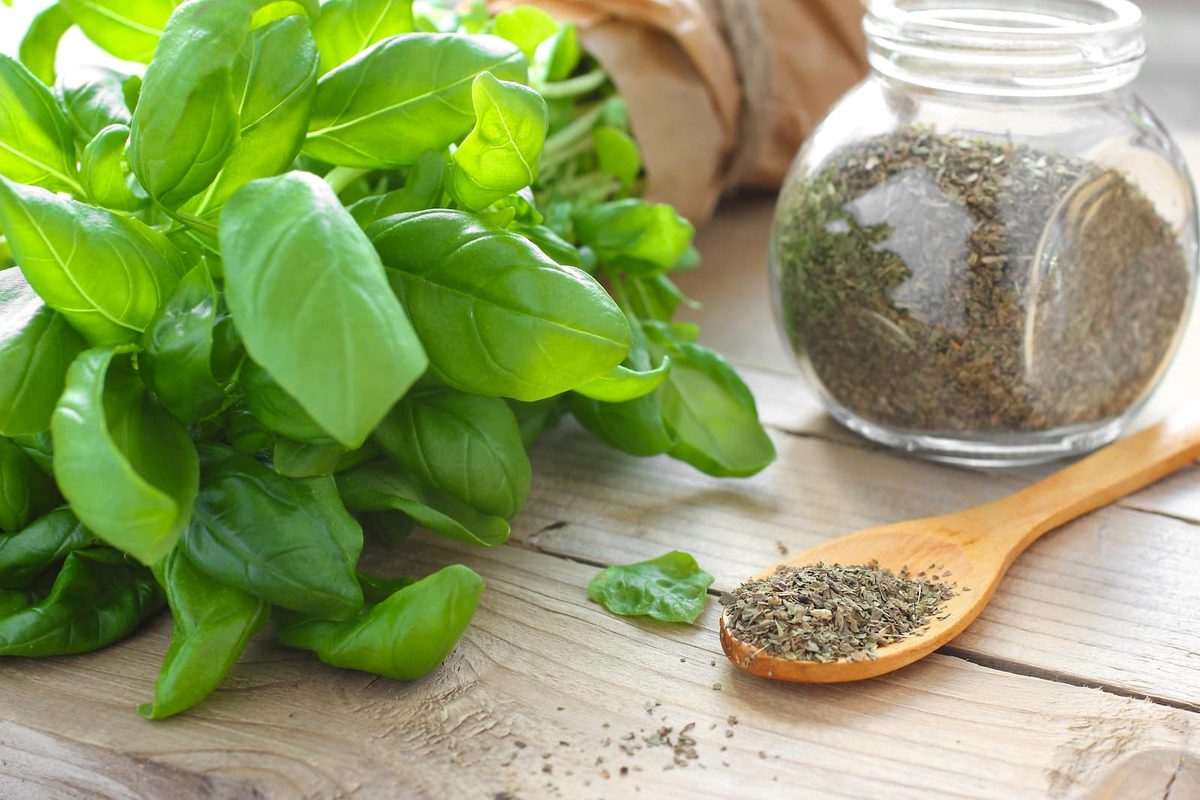 Dried Basil Vs. Fresh