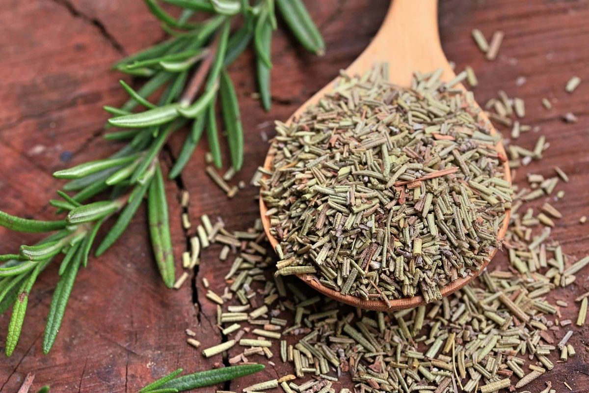 dried rosemary vs fresh