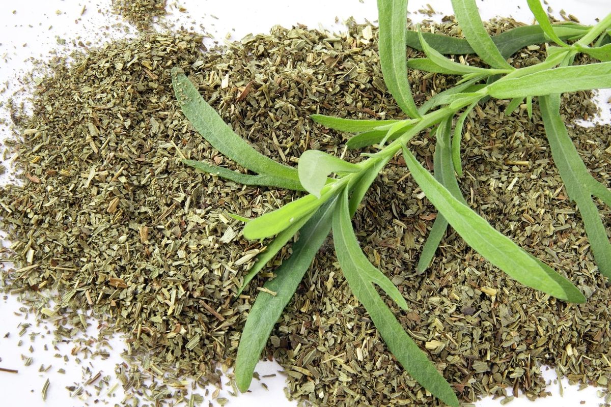 Dried tarragon vs fresh tarragon