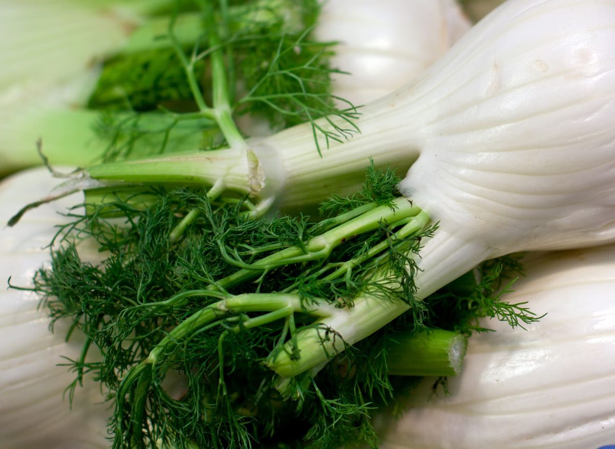 Fennel Vs. Dill