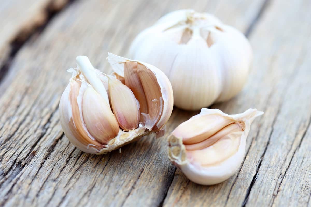 garlic vs ginger