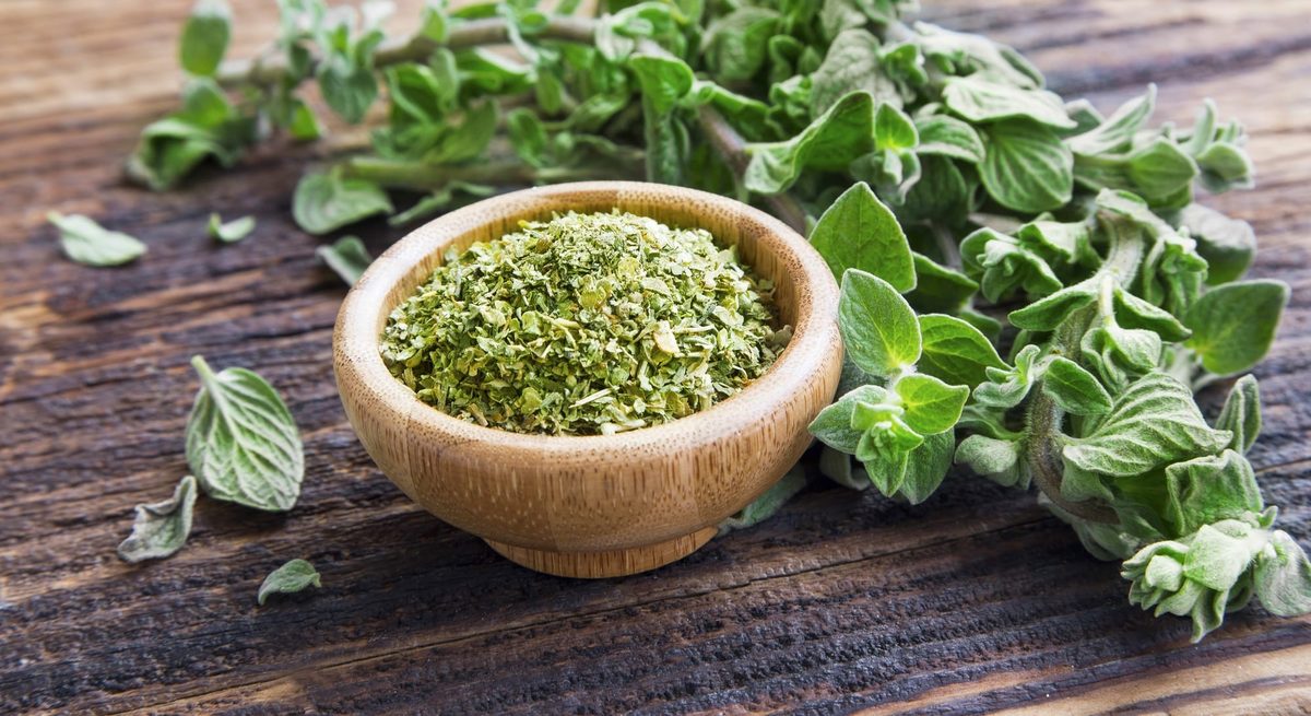How To Dry Oregano