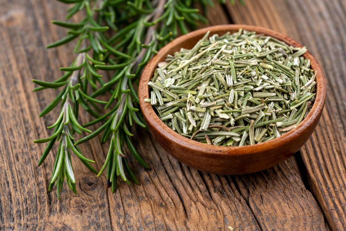 How to dry rosemary