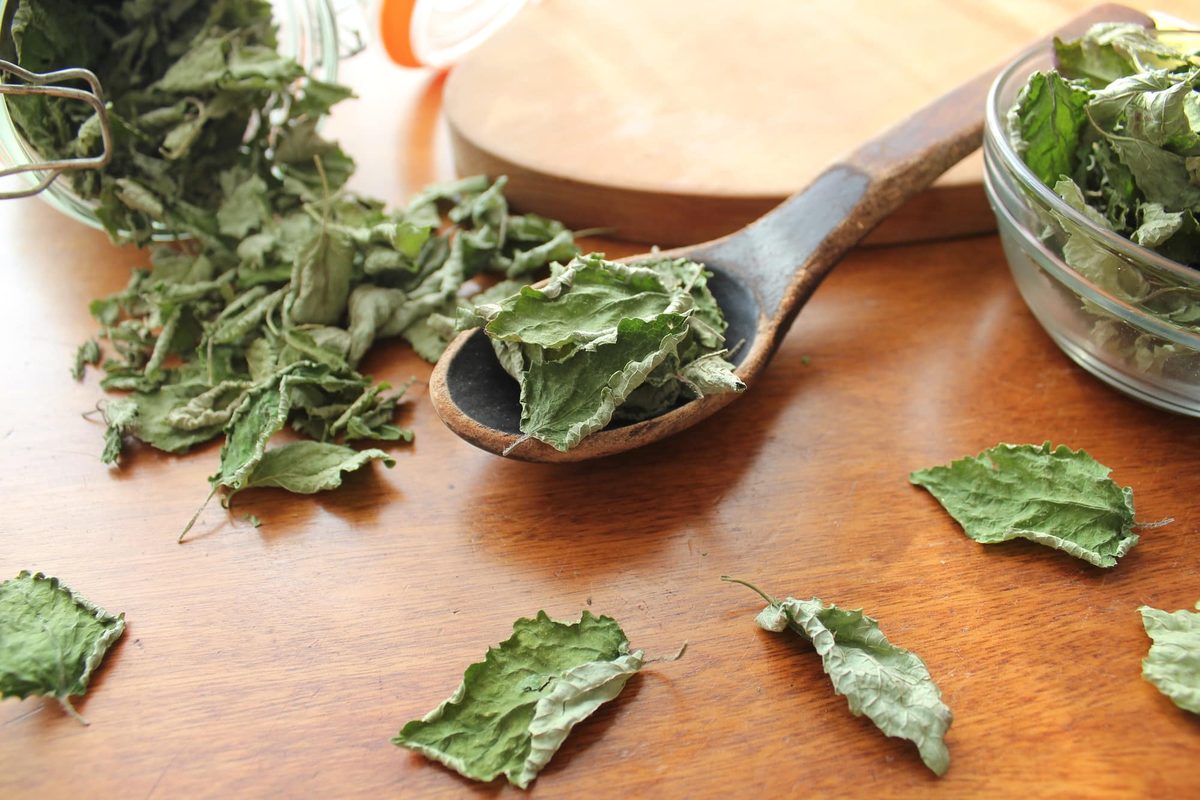 How to Dry Sage