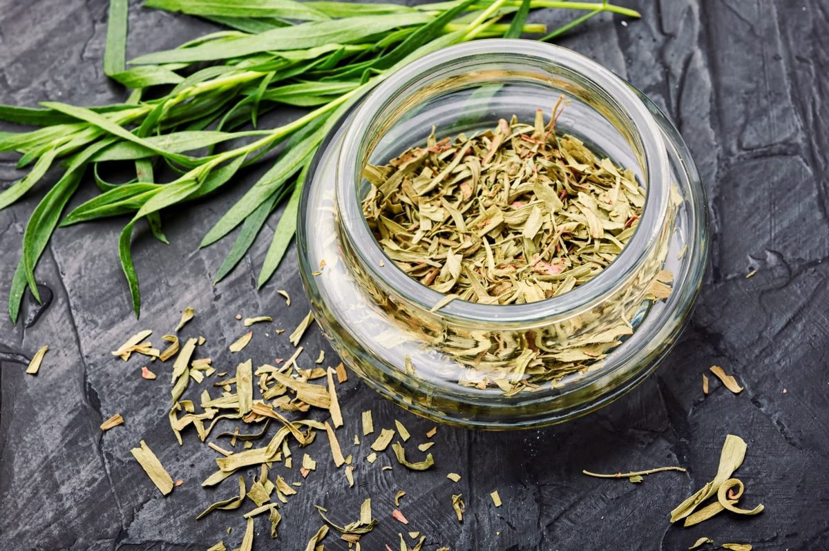 how to dry tarragon