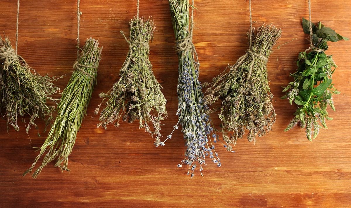 How to rehydrate herbs