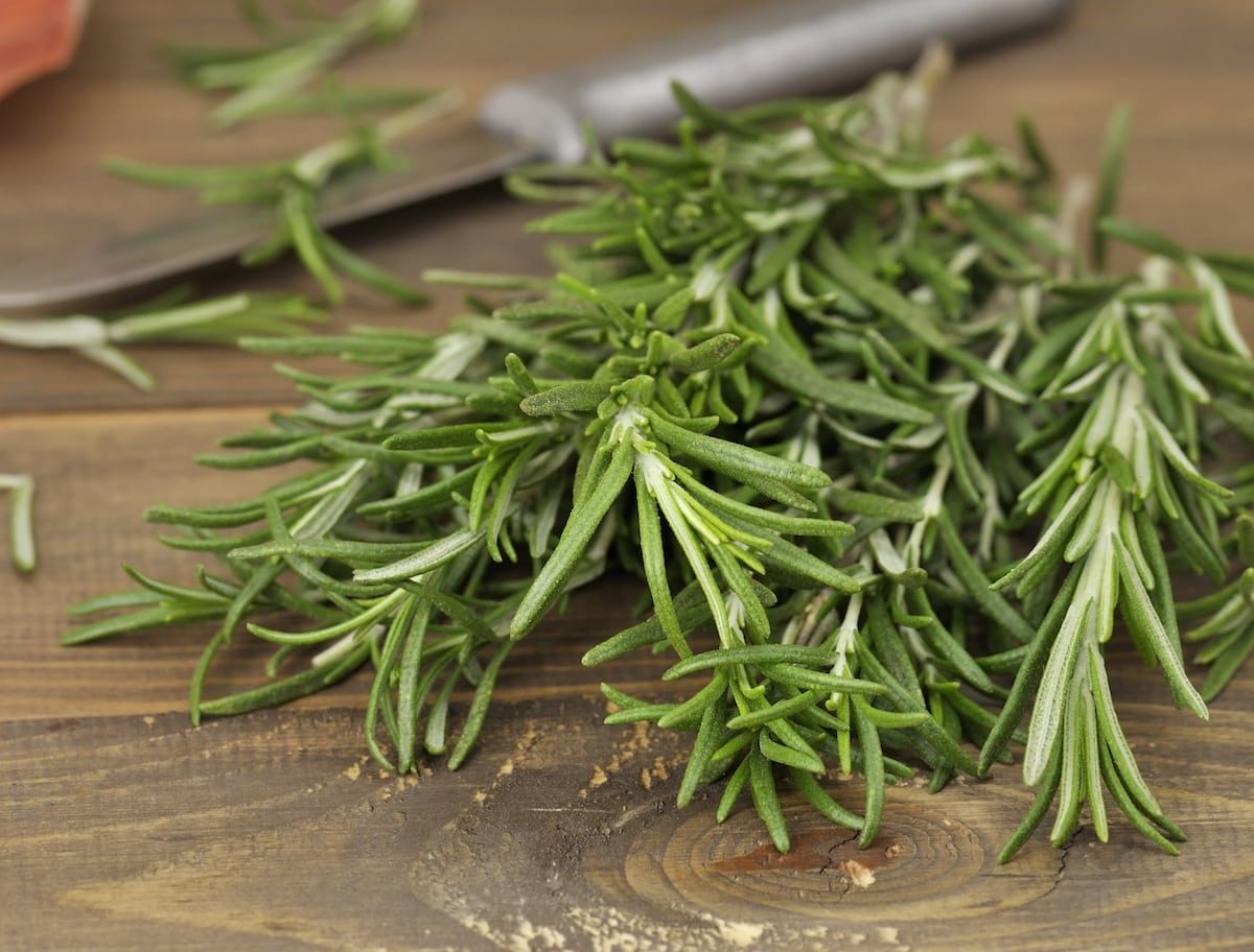 How To Store Rosemary