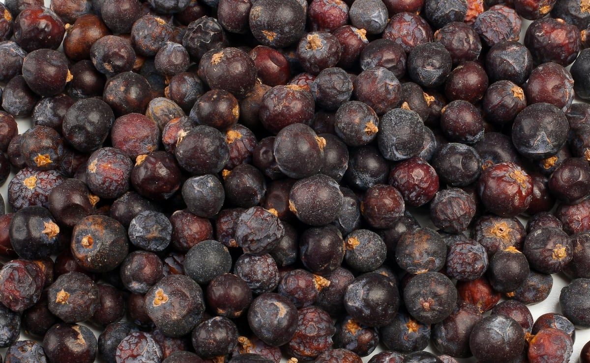 Juniper berries substitute