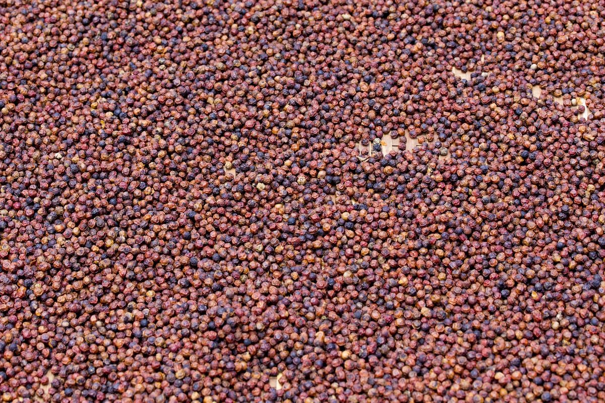 Kampot pepper
