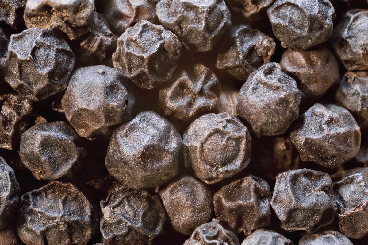 Lampong pepper
