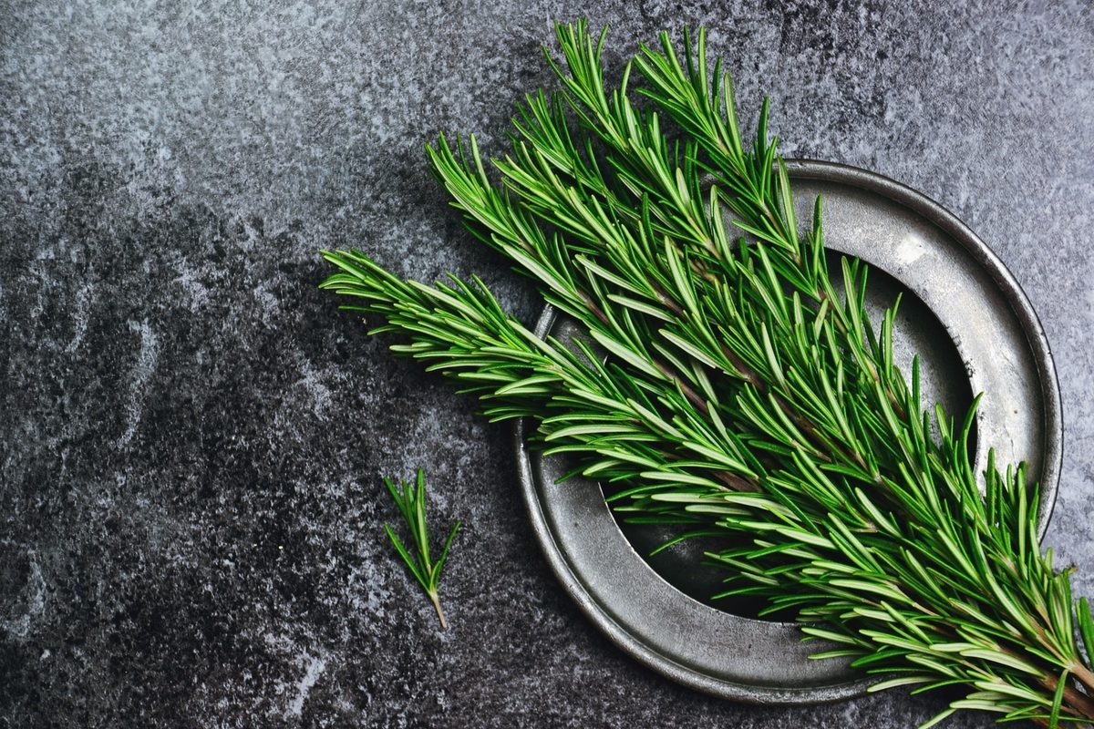 Rosemary Uses