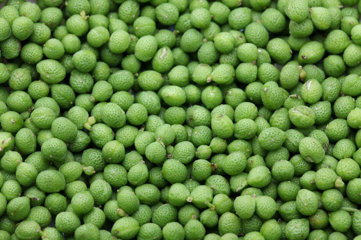 sansho pepper