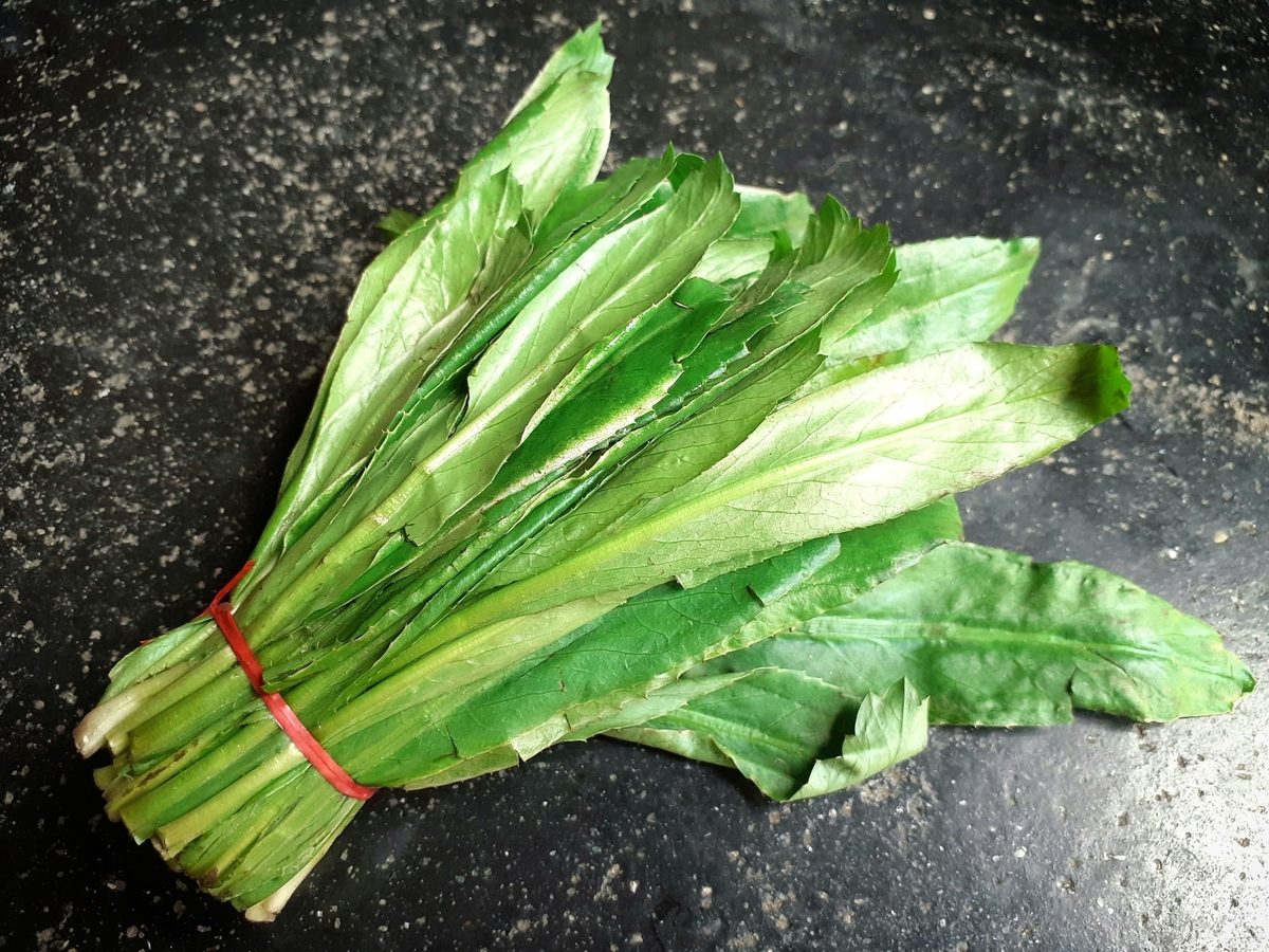 Saw Leaf