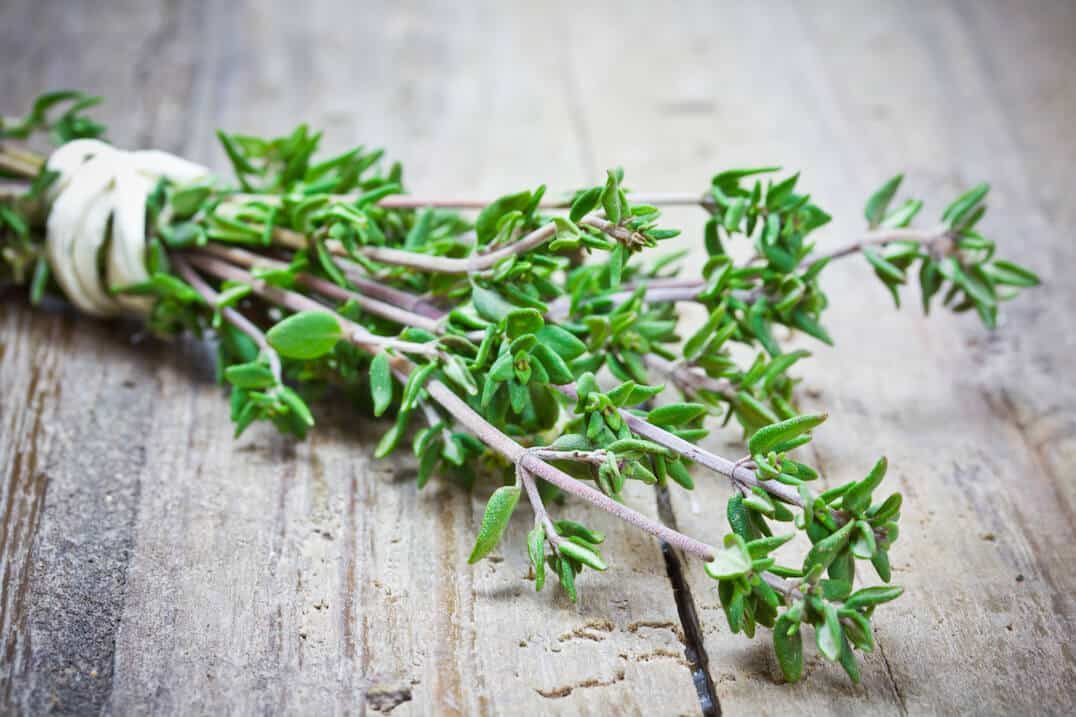 Thyme Substitute