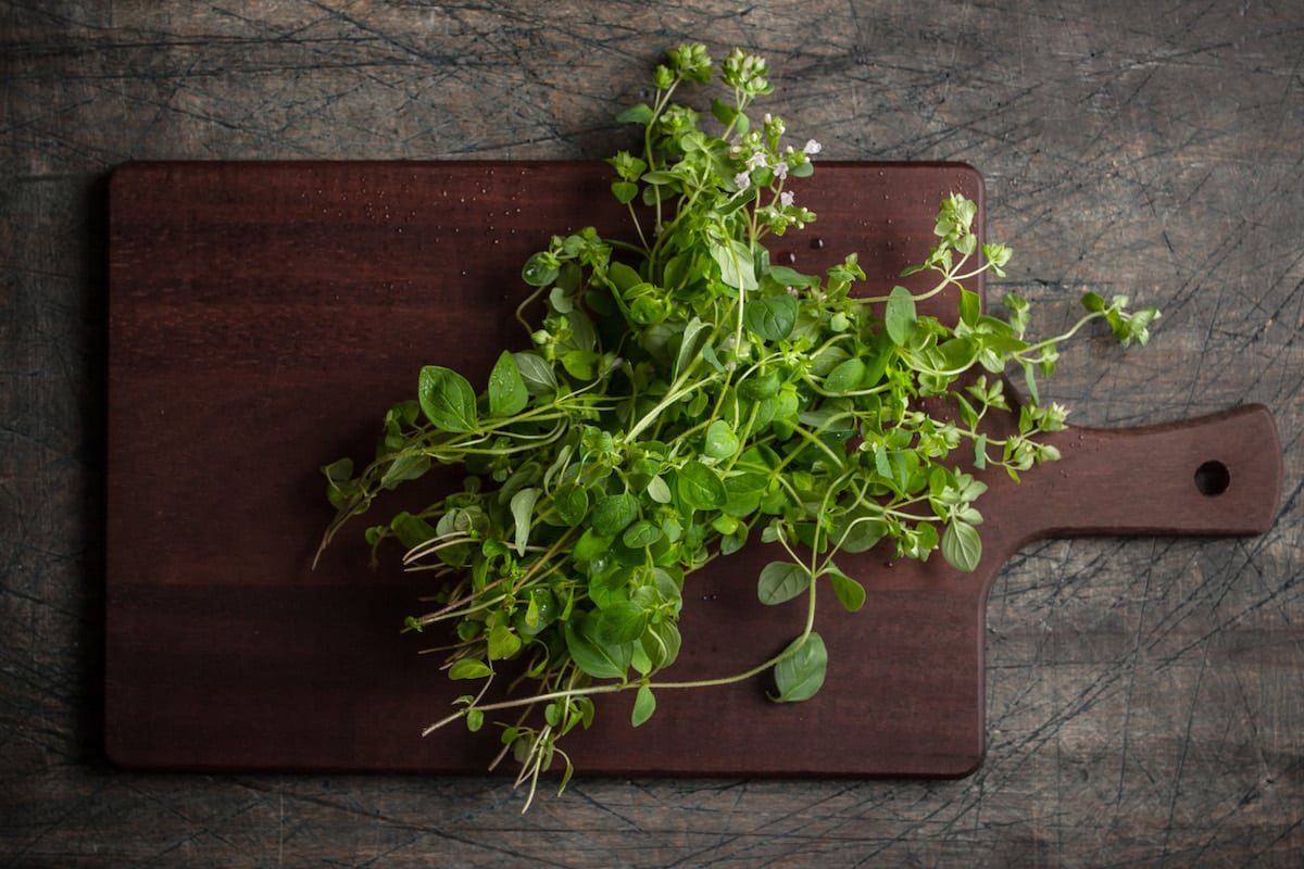 Too Much Oregano