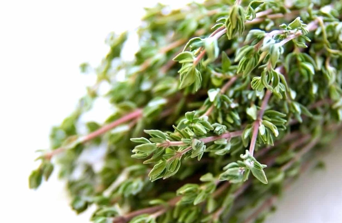 Too Much Thyme