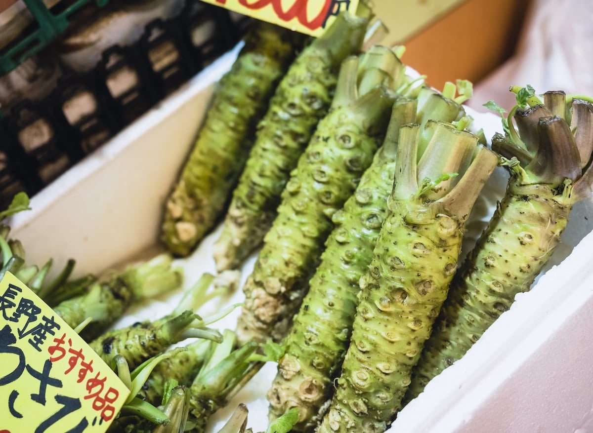 Wasabi