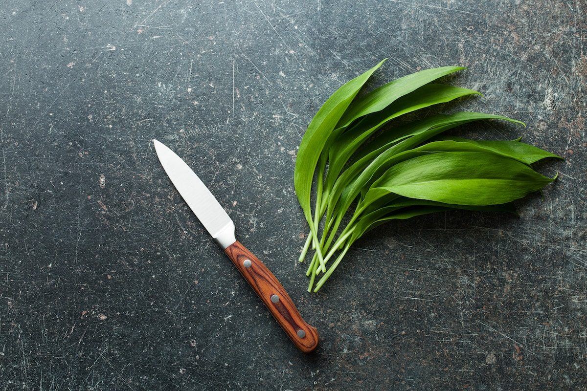Wild Garlic - Ramsons