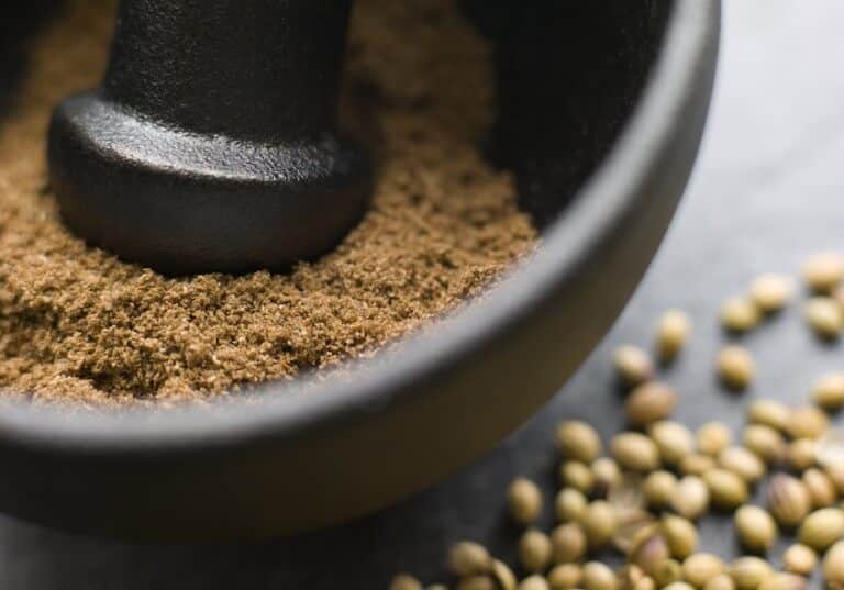 Coriander Substitute