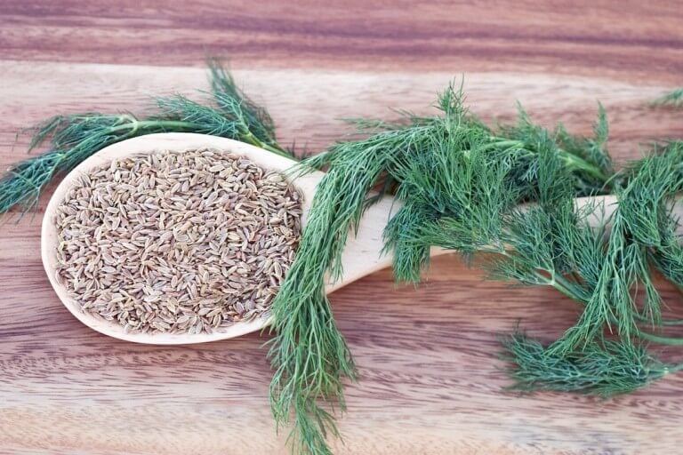 Dill Seed vs Dill Weed