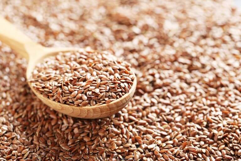 Flax Seeds
