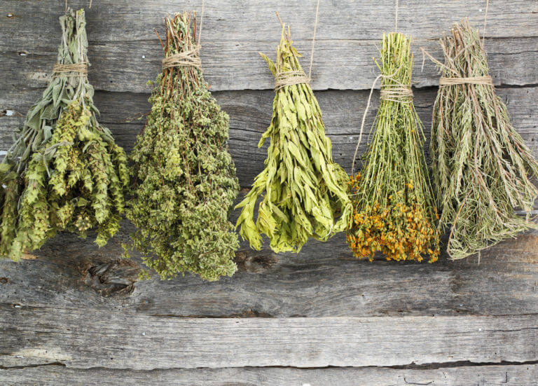 Dried Herbs Vs Fresh