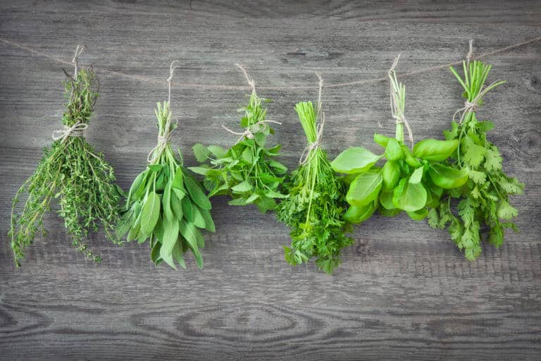 Summer Savory Substitute