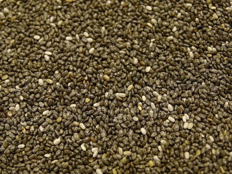 Chia Seed Substitute