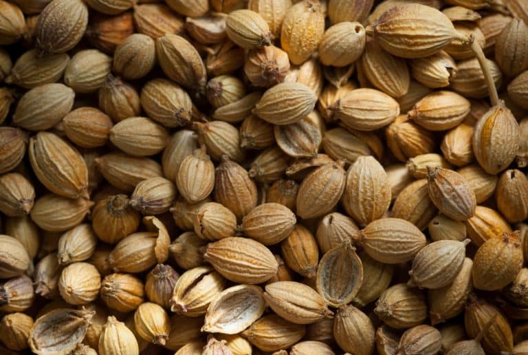 How To Store Coriander