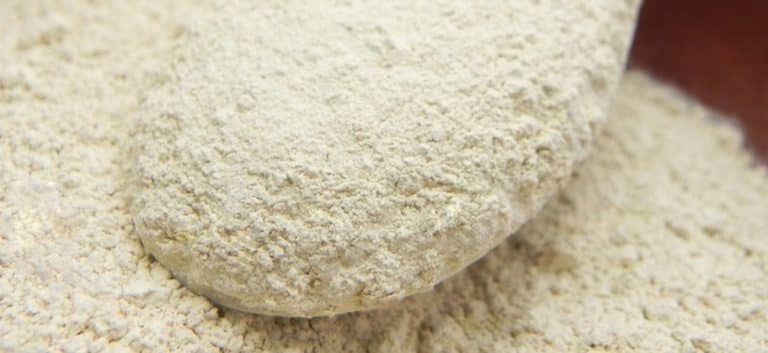 Horseradish Powder