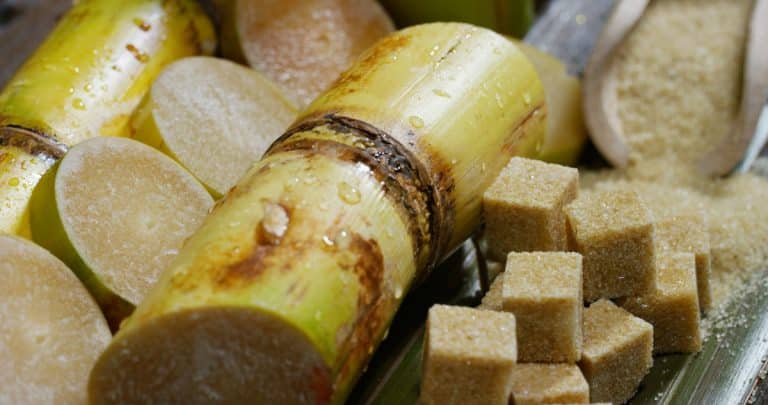 cane sugar
