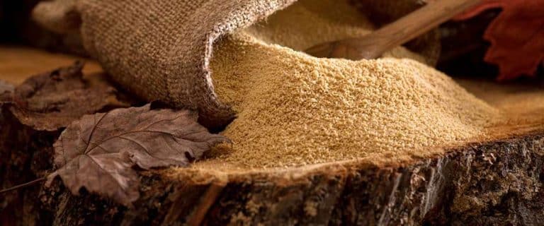 Maple Sugar