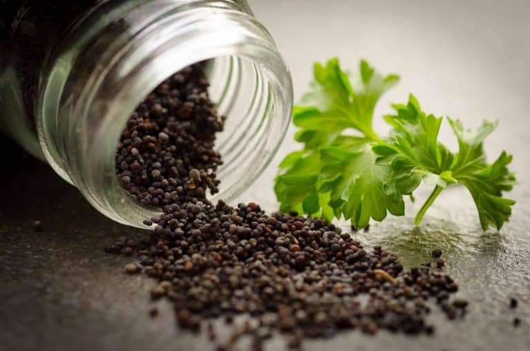 poppy seeds substitute