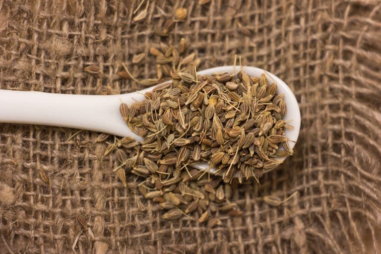 anise seed substitute