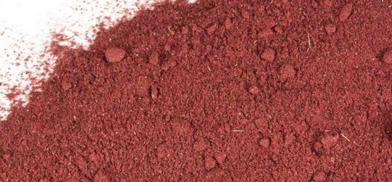hibiscus powder
