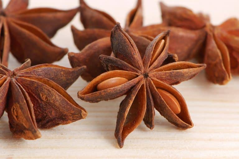 star anise vs anise seed