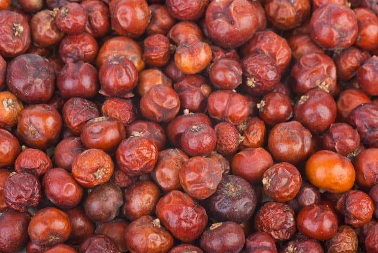 cedar berries vs juniper berries
